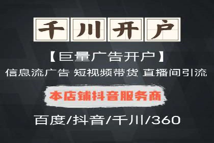 行业专家解析SEM代运营成功案例